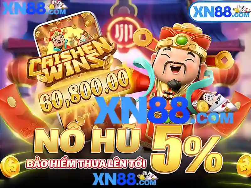 Hệ sinh thái người dùng