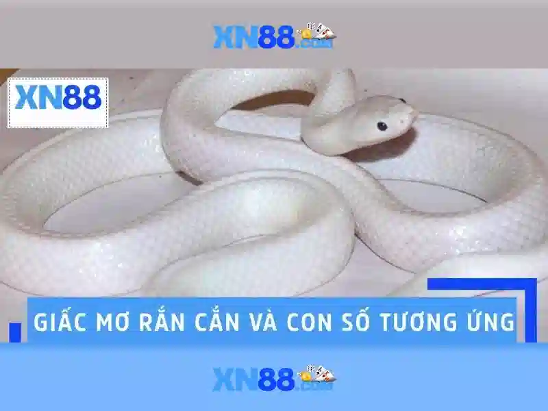 Giao diện nhà cái hoàn hảo
