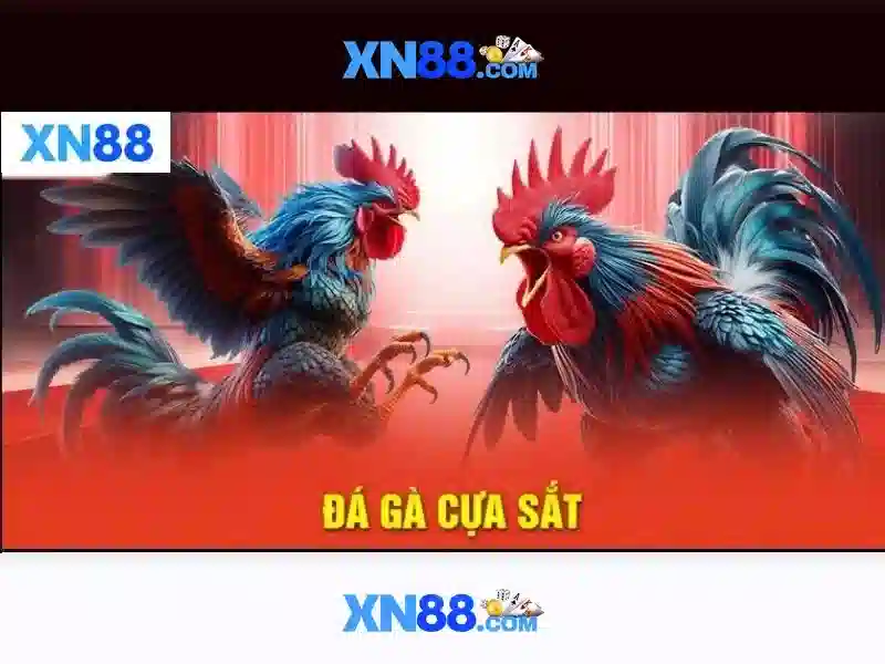 Giao-dien-nxn88-tren-may-tinh