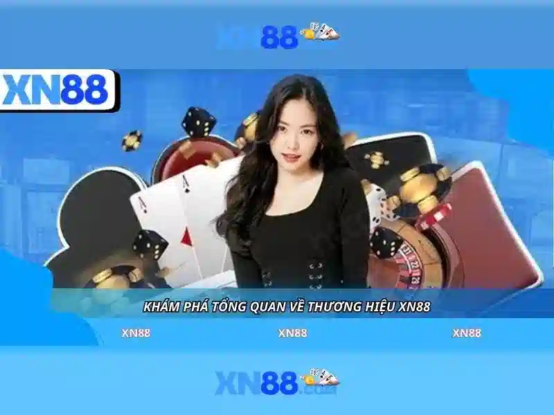 Hỗ trợ người dùng