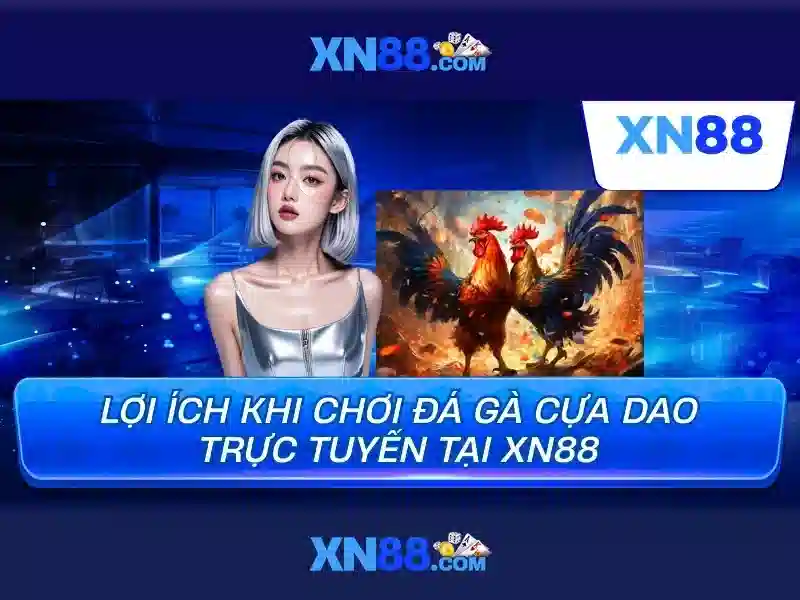 Các tính năng nổi bật