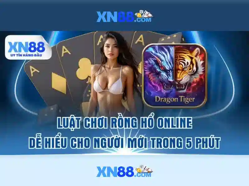XN88: Nền tảng giải trí trực tuyến và trò chơi trực tuyến Giao diện nhà cái hoàn hảo