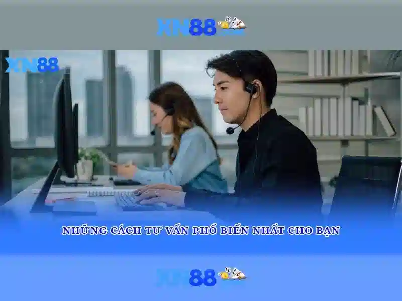 Lịch sử và nền tảng