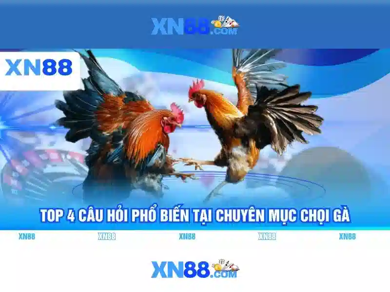 xn88: Nền tảng giải trí trực tuyến và những trải nghiệm đáng chú ý Giao diện nhà cái hoàn hảo