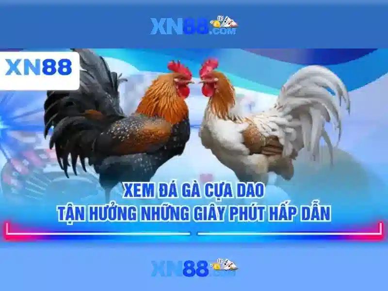 Nền tảng và trò chơi phổ biến