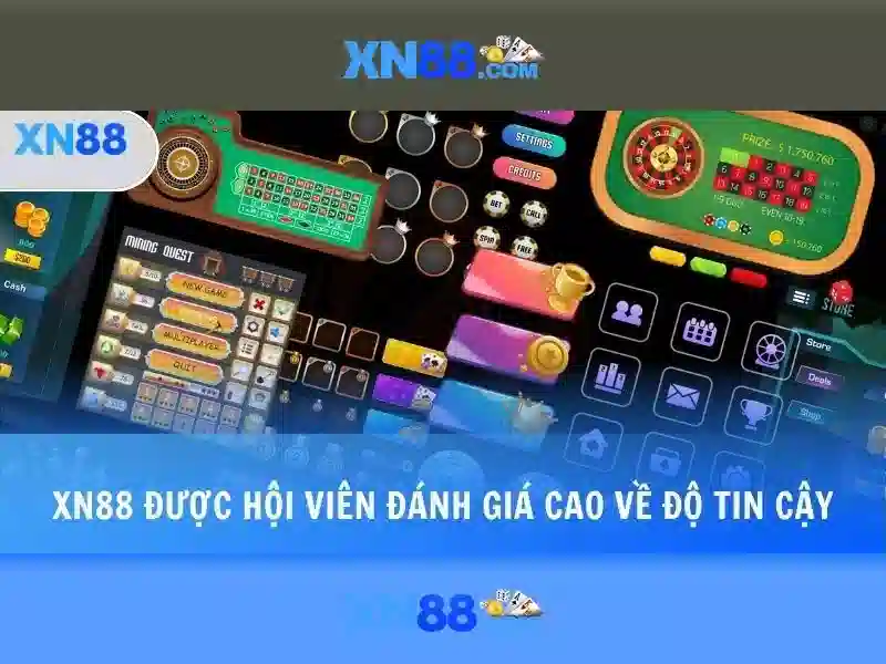 Lĩnh vực hoạt động