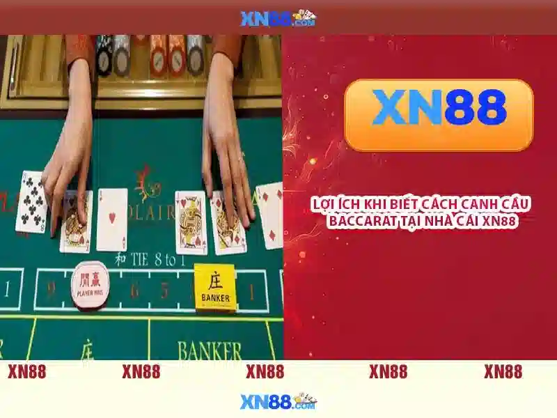 Hỗ trợ khách hàng và trải nghiệm người dùng