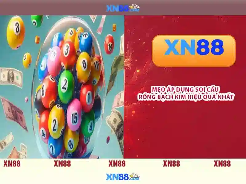 Hướng dẫn đăng ký và thẻ của người dùng