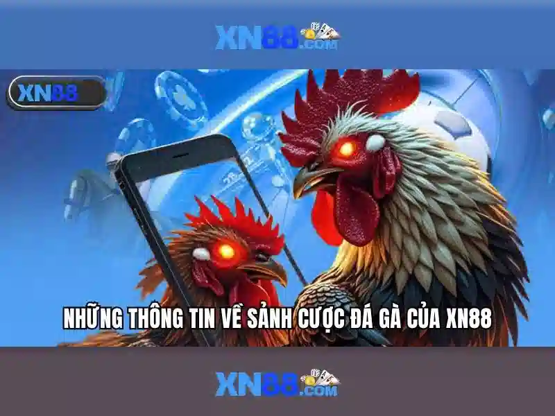 Khuyến mãi và thanh toán