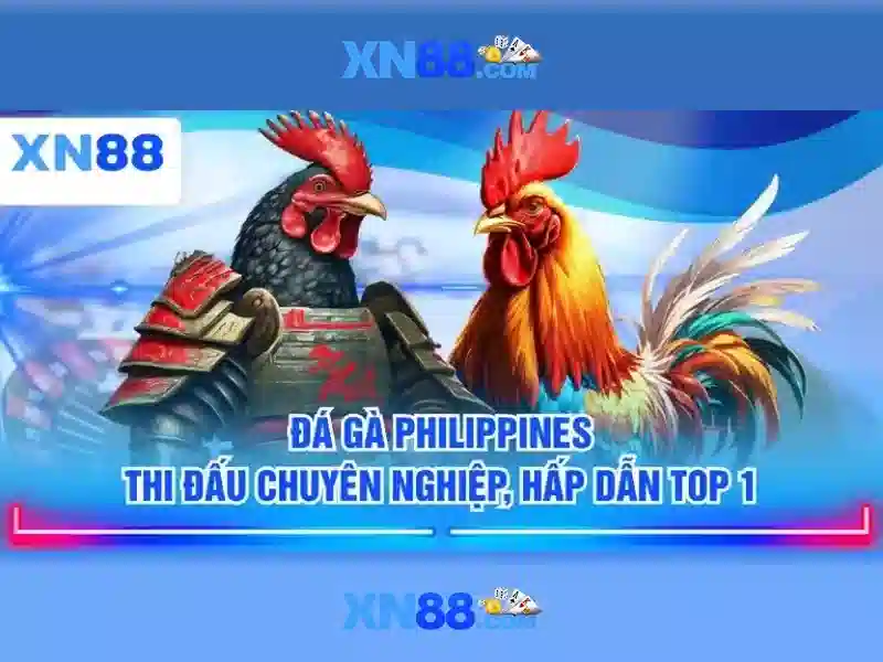 Lĩnh vực hoạt động và cơ chế