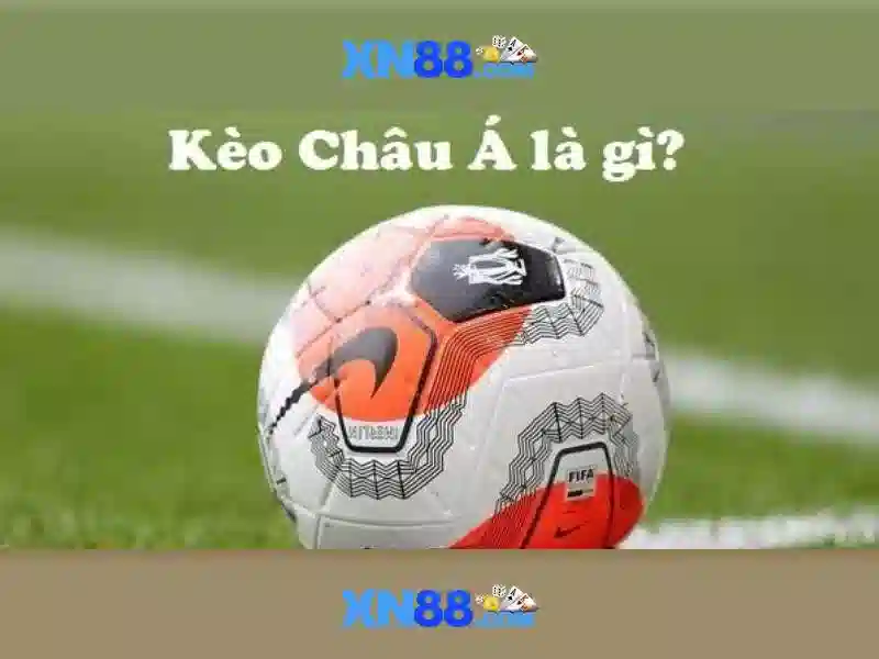Giới thiệu về xn88