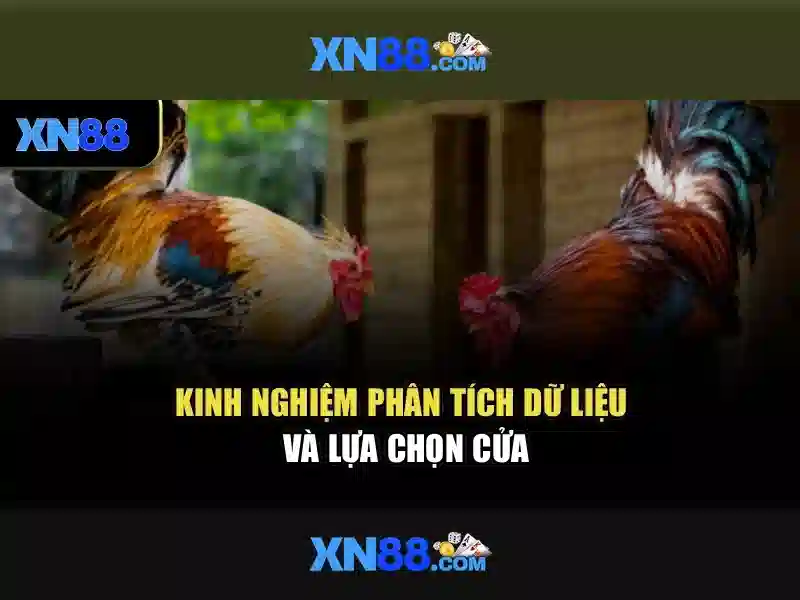 xn88: Tổng quan về nền tảng cược và trò chơi trực tuyến Giao diện nhà cái hoàn hảo
