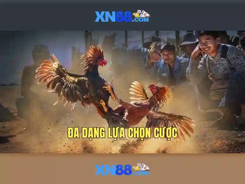 Nền tảng và sản phẩm chính của xn88