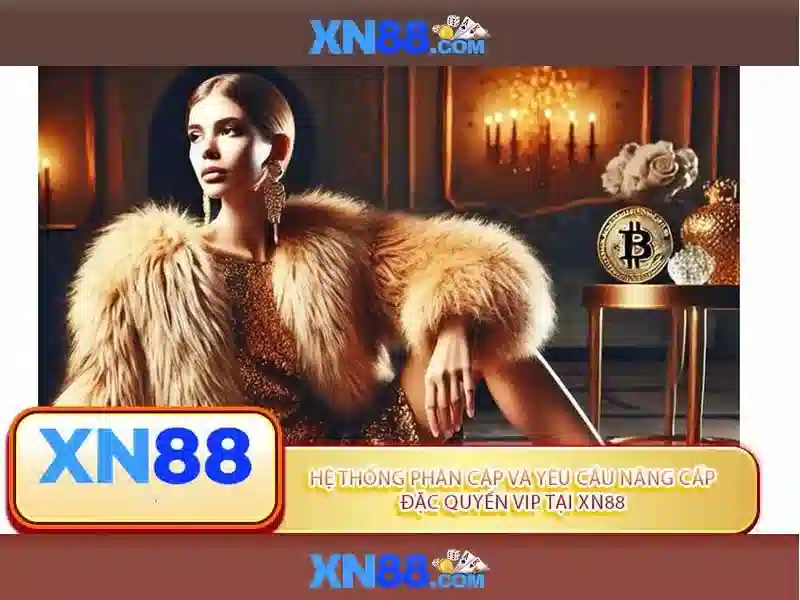 Các dịch vụ của xn88