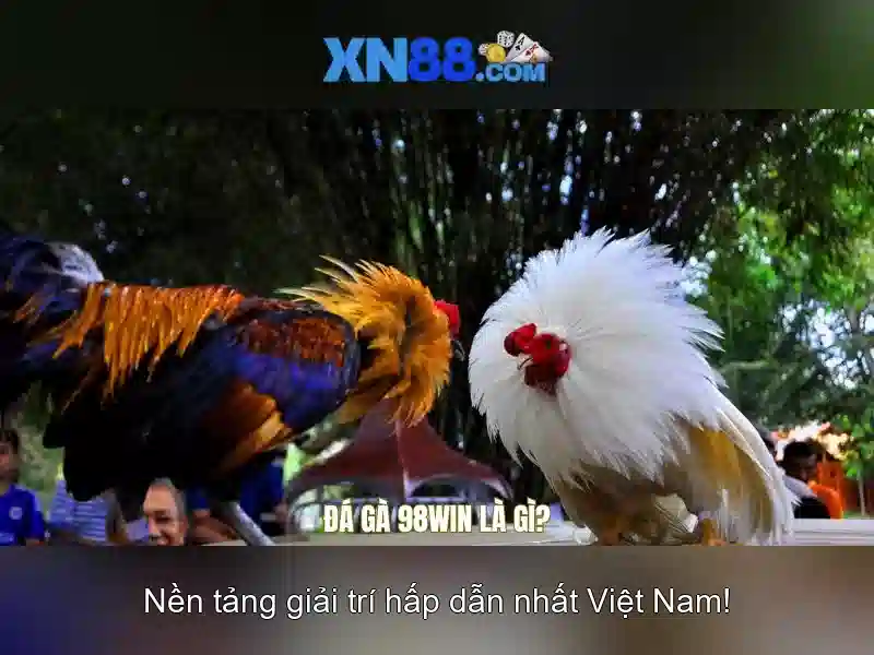 Giao diện nhà cái hoàn hảo