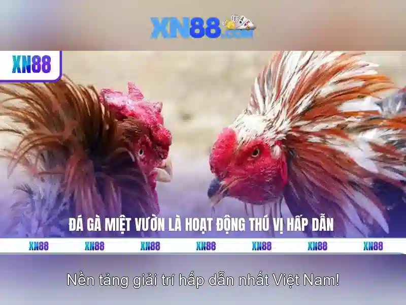 Tác động đến người dùng và an toàn