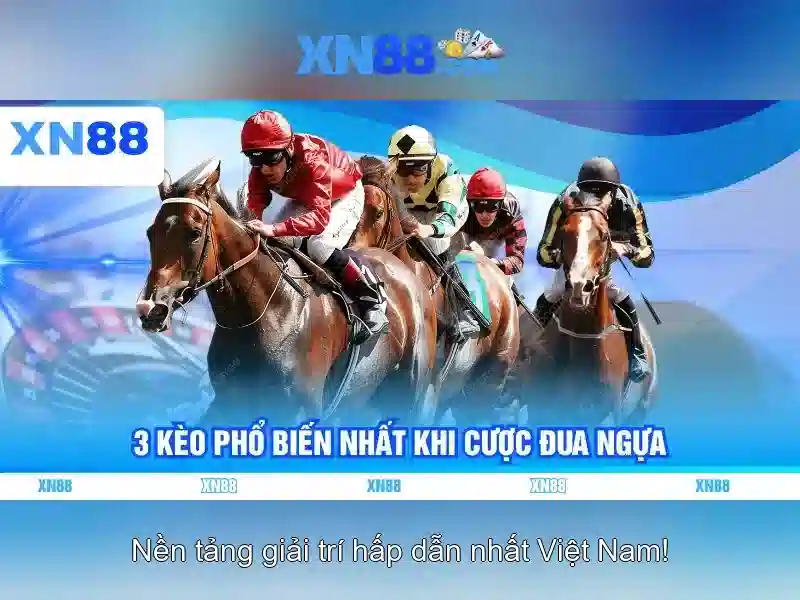 Tính năng nổi bật của xn88