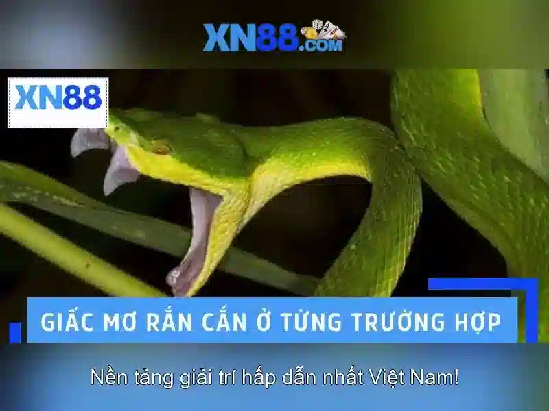 Khuyến mãi và cách tham gia