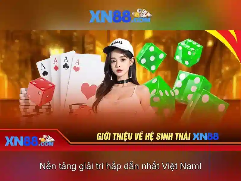 Giới thiệu về XN88
