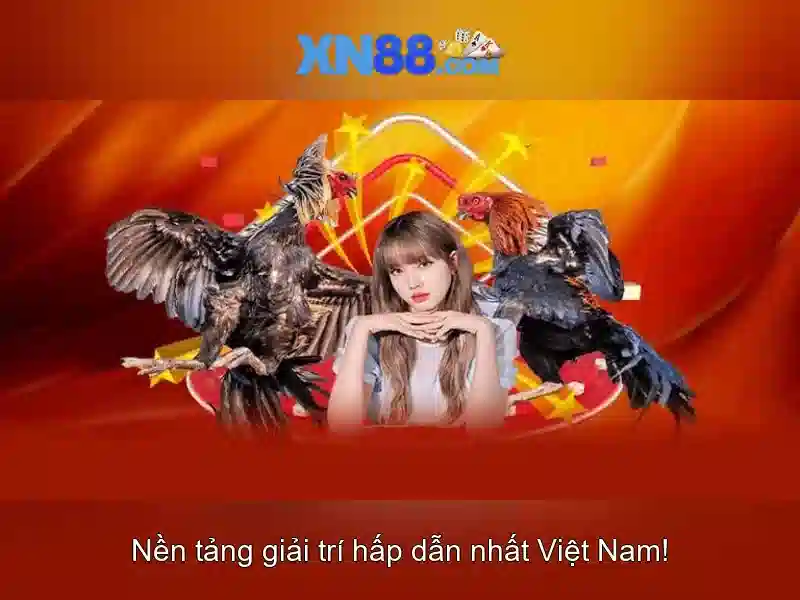 Giao diện nhà cái hoàn hảo