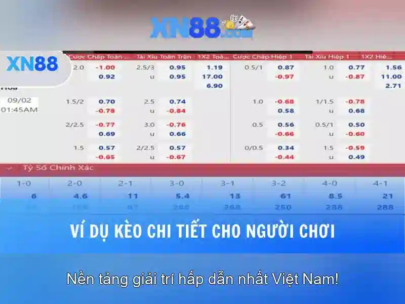 Khuyến mãi và ưu đãi