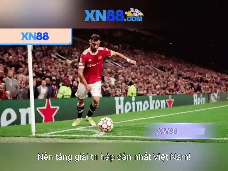 Giới thiệu về xn88
