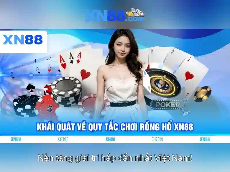 Các tính năng nổi bật