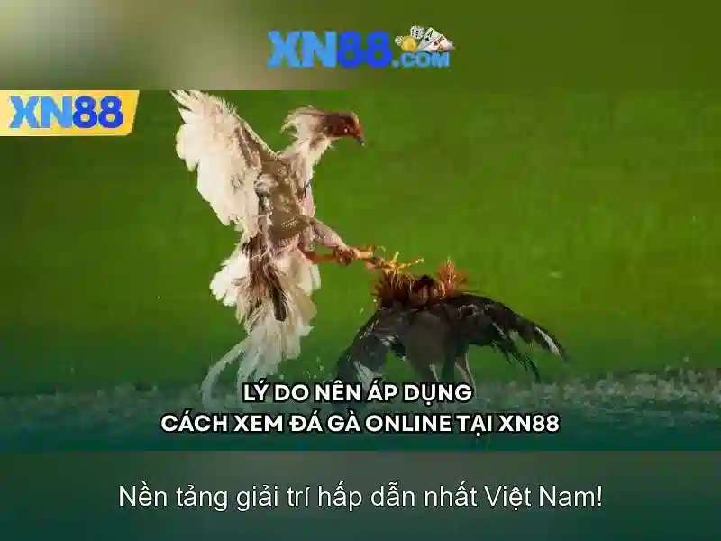 xn88: Tổng quan về nền tảng giải trí và cược trực tuyến Giao diện nhà cái hoàn hảo