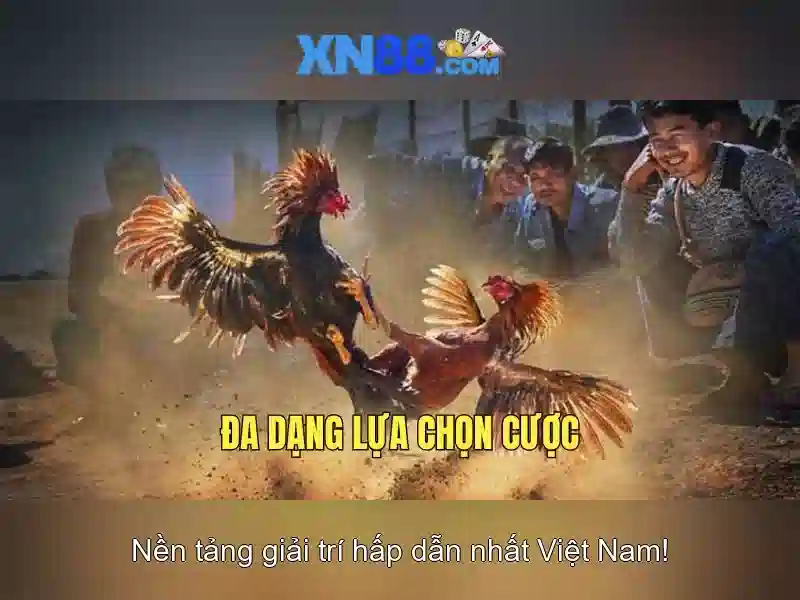 Các sản phẩm và dịch vụ của xn88