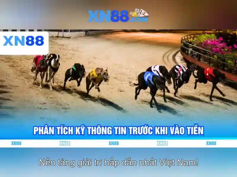XN88 và thế giới trò chơi trực tuyến