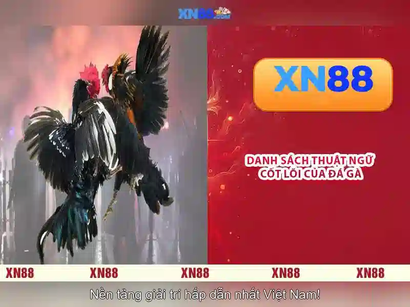 Cấu hình và chức năng chính
