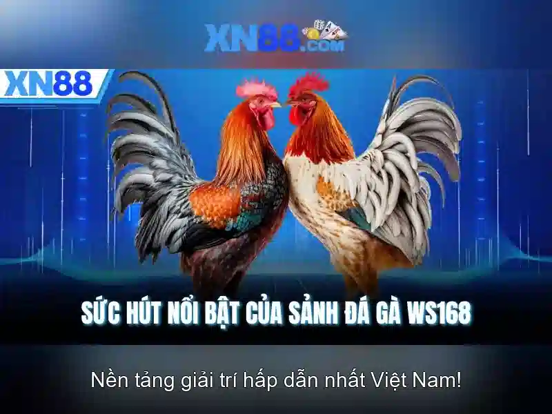 Giao diện nhà cái hoàn hảo