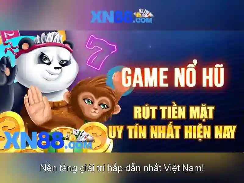 Giới thiệu về xn88
