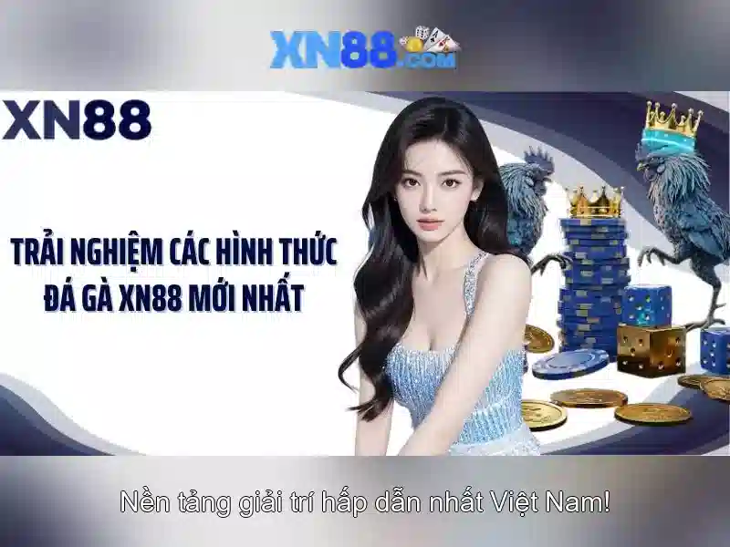Giao diện và trải nghiệm người dùng