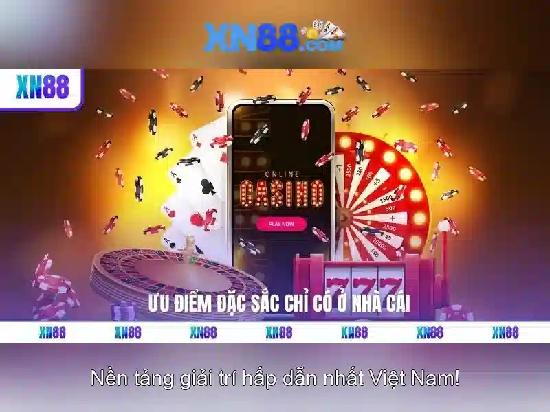 Nền tảng và các dịch vụ
