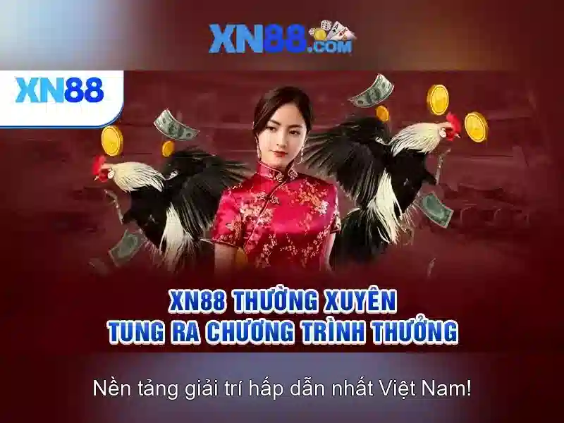 Các dịch vụ và sản phẩm của xn88