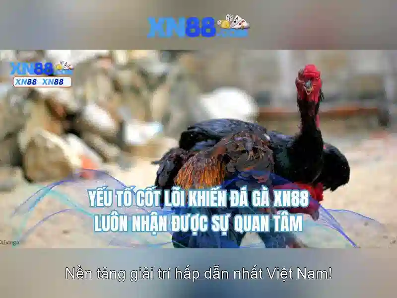 Giới thiệu về XN88