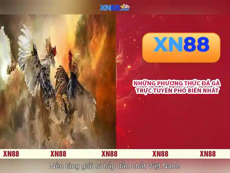 Các điều khoản về khuyến mãi và nhận thưởng tại nhà cái xn88