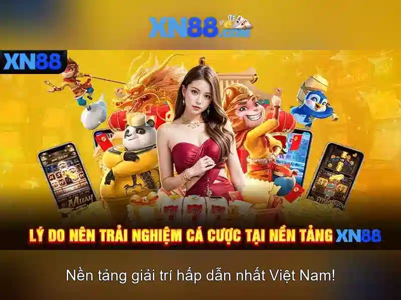 Khuyến mãi và chương trình thưởng