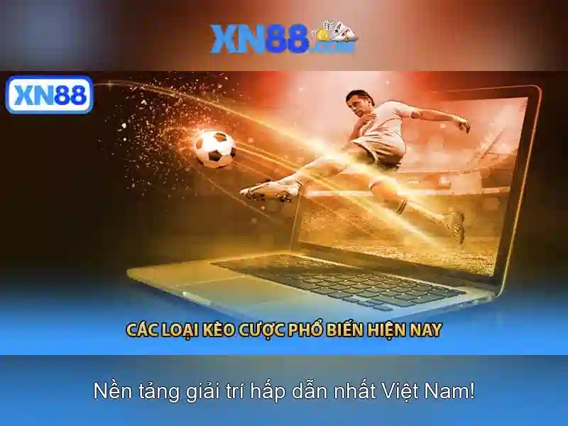 Các tính năng nổi bật